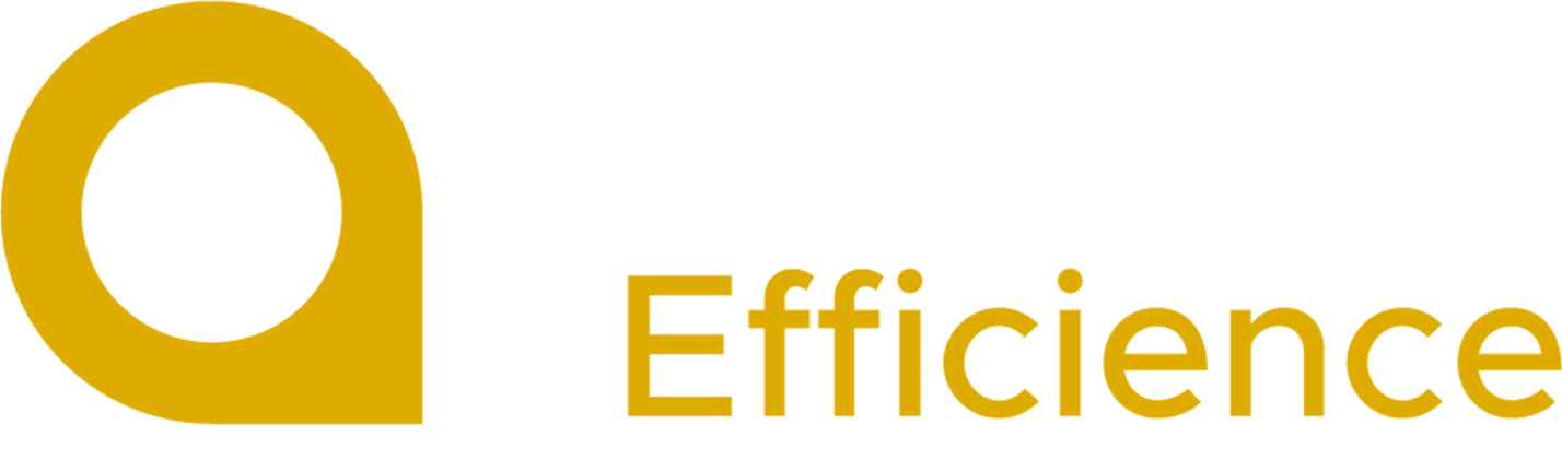 Groupe Efficience